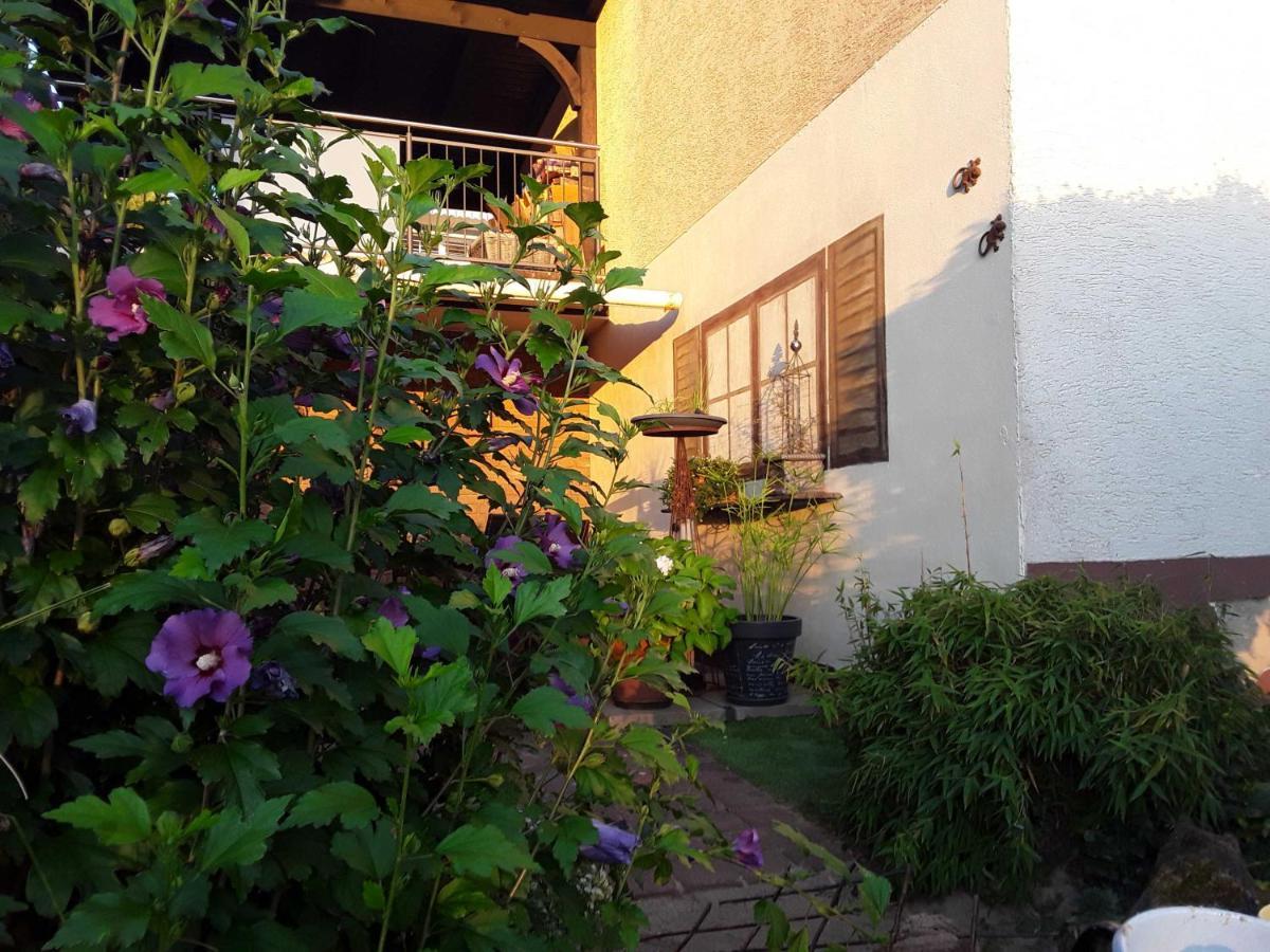 Apartmán Haus Sonnenblick Momlingen Exteriér fotografie